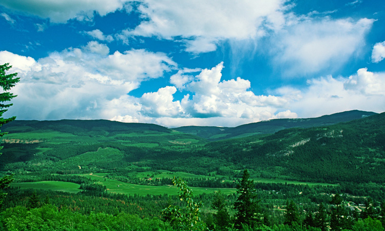welcome image